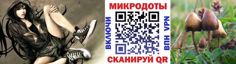 Псилоцибиновые грибы GOLDEN TEACHER  Медногорск 